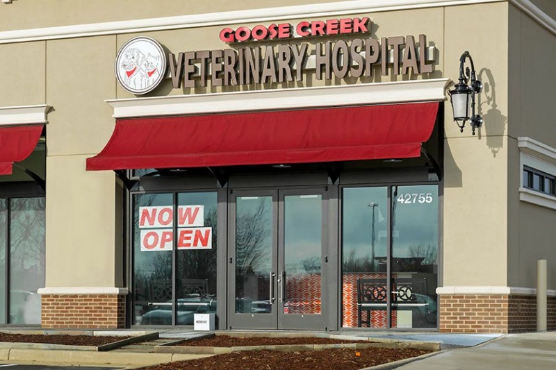 Exterior of Goose Creek Veterinary Hospital in Ashburn, VA