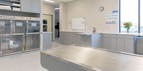 Emergency vet facility at Goose Creek Veterinary Hospital